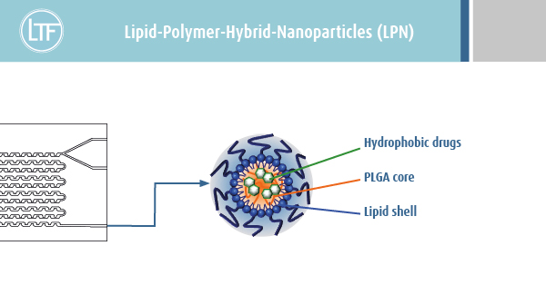 Microreactors to create Lipid-Polymer-Hybrid-Nanoparticles